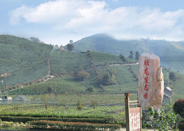 溧陽欣龍生態(tài)園